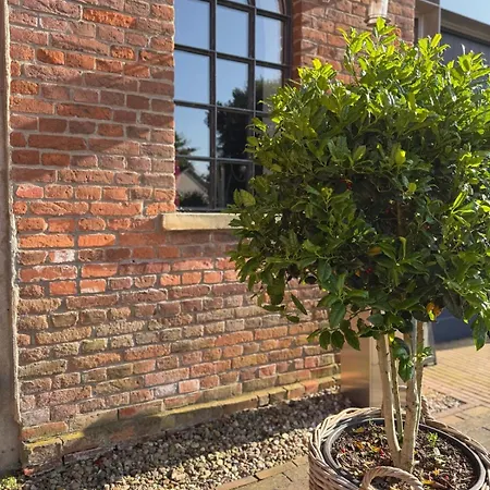 Maison d'hôtes Edelhof1877 *